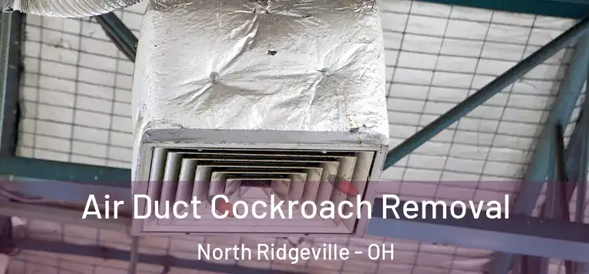  Air Duct Cockroach Removal North Ridgeville - OH