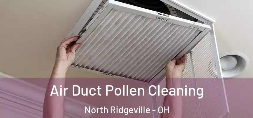  Air Duct Pollen Cleaning North Ridgeville - OH