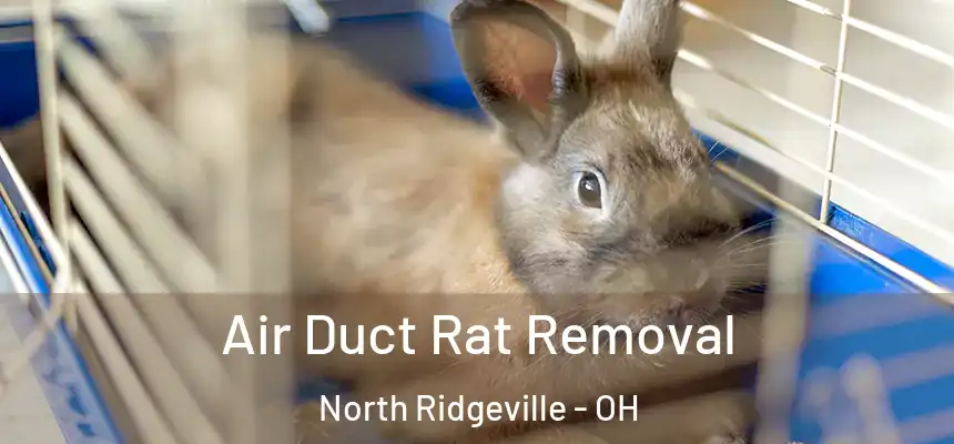  Air Duct Rat Removal North Ridgeville - OH