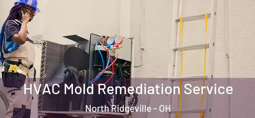  HVAC Mold Remediation Service North Ridgeville - OH