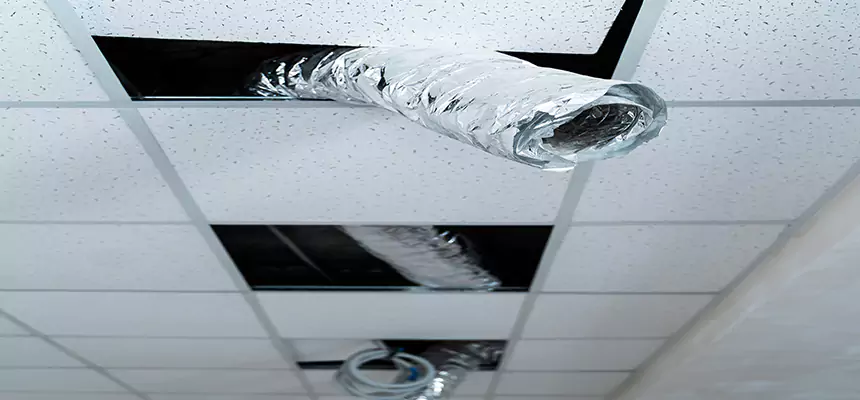 Affordable HVAC Sanitizing After Pest Removal in North Ridgeville