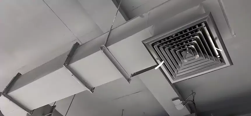 Our Pest Removal From Ducts Services in North Ridgeville, OH