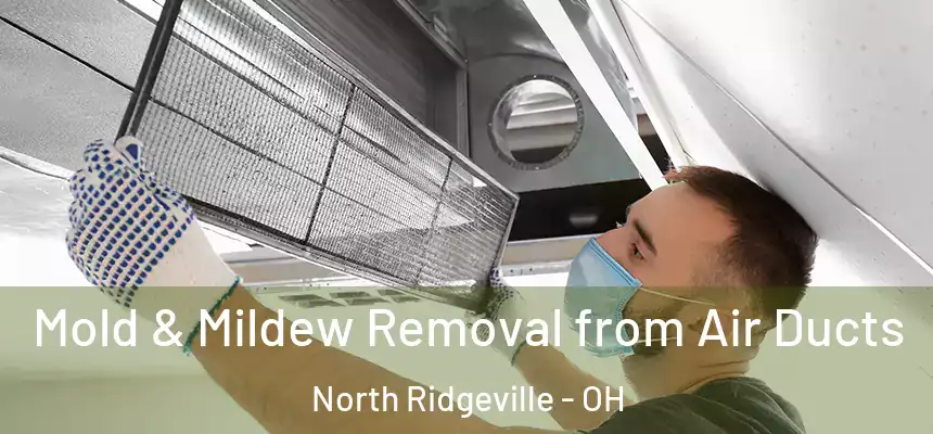 Mold & Mildew Removal from Air Ducts North Ridgeville - OH