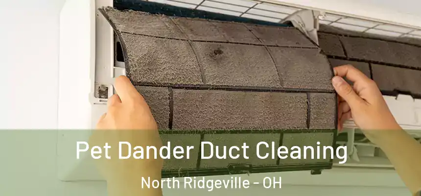  Pet Dander Duct Cleaning North Ridgeville - OH