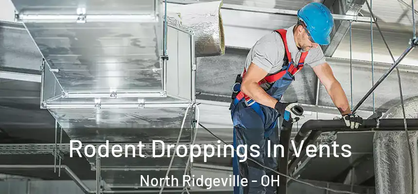  Rodent Droppings In Vents North Ridgeville - OH