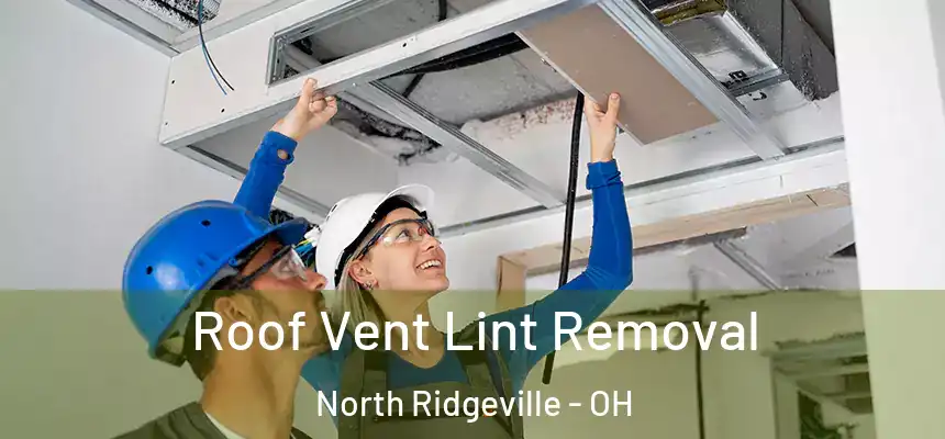Roof Vent Lint Removal North Ridgeville - OH