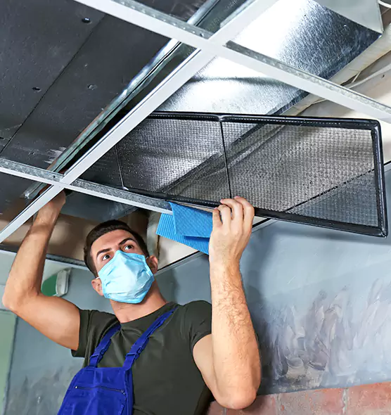 About Air Duct Bacteria Removal in North Ridgeville