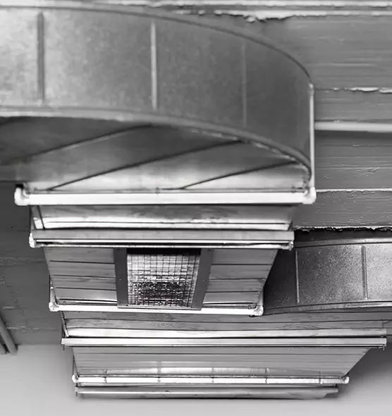 Professional Air Duct Pest Removal in North Ridgeville, OH