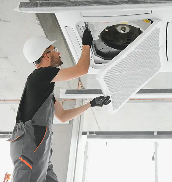 About Air Duct Rodent Removal in North Ridgeville, OH