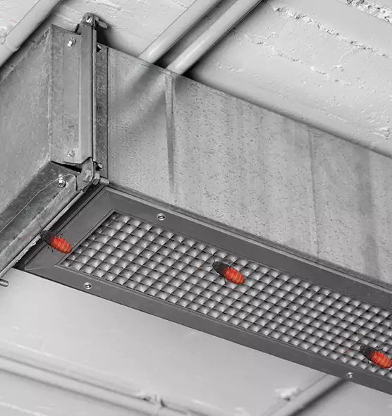 Affordable Insect Removal from Air Ducts in North Ridgeville, OH