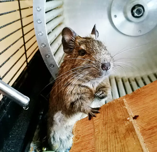 Why Homeowners & Businesses Trust Us North Ridgeville, OH